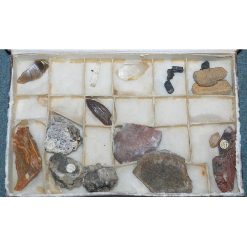 350 - A WOODEN CHEST CONTAINING SEMI PRECIOUS STONES  FLINT ETC