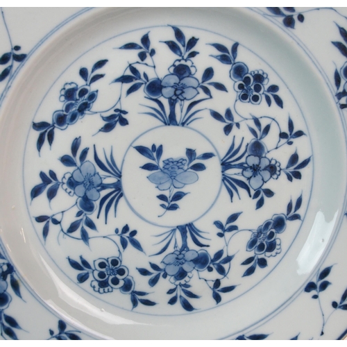 65 - A PAIR OF CHINESE EXPORT BLUE AND WHITE PLATES