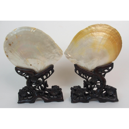 137 - A PAIR OF CHINESE EXPORT ABALONE SHELLS ON STANDS