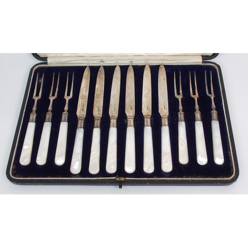 202 - A CASED TWELVE PIECE FRUIT CUTLERY SET