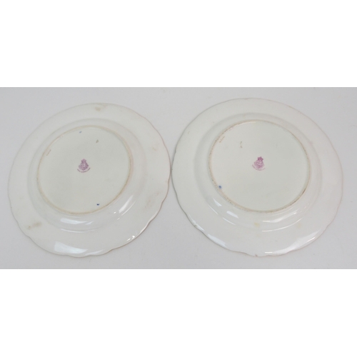 556 - A PAIR OF ROYAL WORCESTER CABINET PLATES