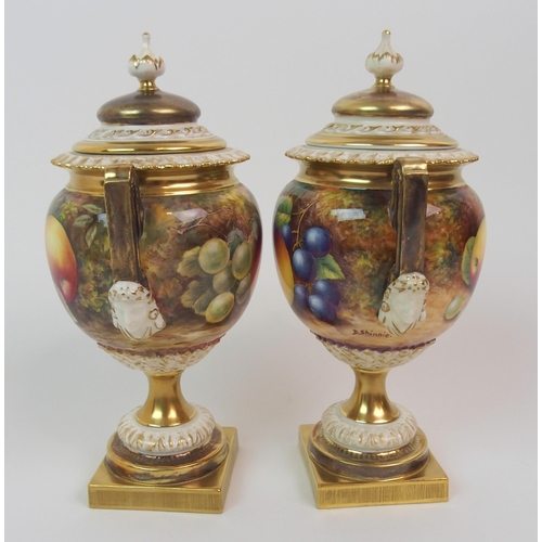 599 - A PAIR OF ROYAL WORCESTER TWO-HANDLED JARS AND COVERS