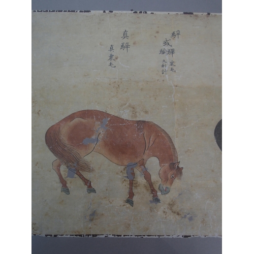 64 - EIGHT CHINESE SCHOOL HORSE PAINTINGS