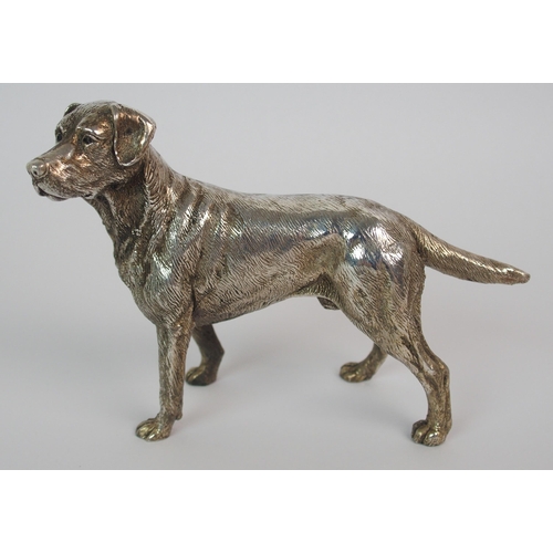 176 - A cast silver model of a Labrador dog