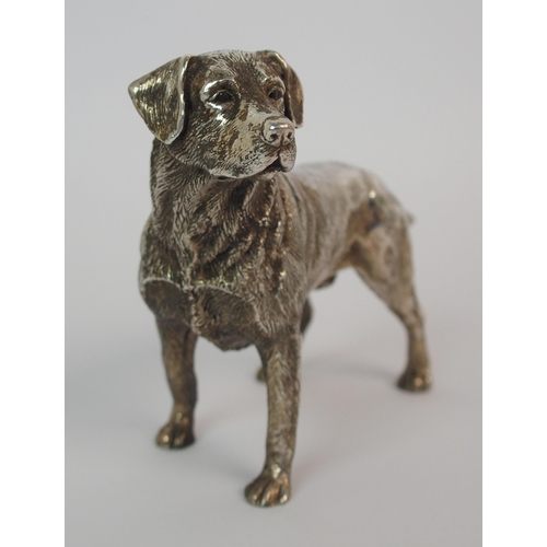 176 - A cast silver model of a Labrador dog