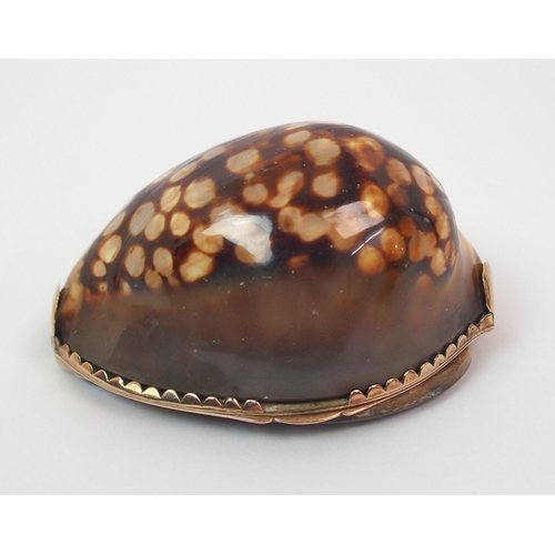 199 - A Cowrie shell and gilt-metal snuff mull