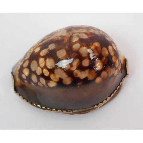 199 - A Cowrie shell and gilt-metal snuff mull