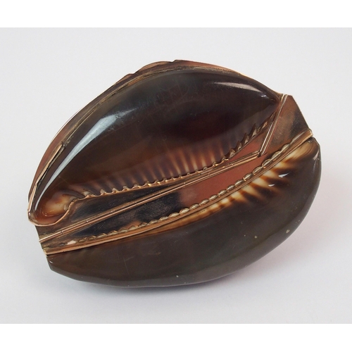 199 - A Cowrie shell and gilt-metal snuff mull