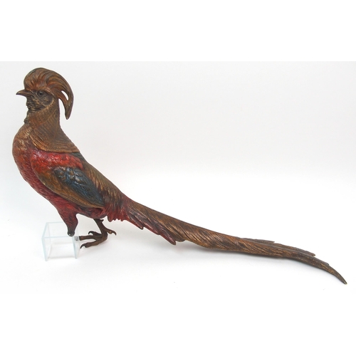 483 - A Bergman cold painted bronze of an oriental pheasant