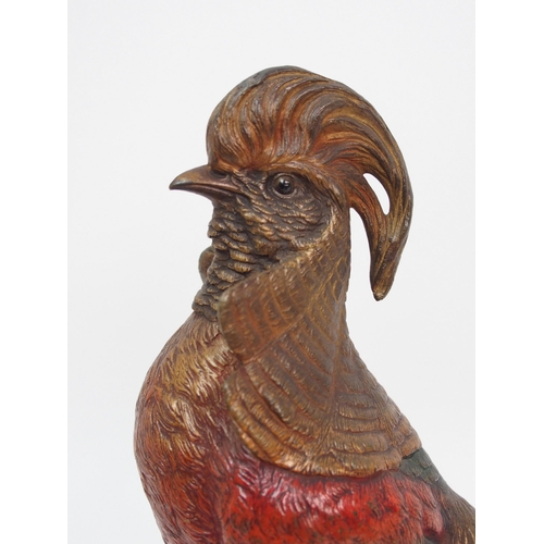 483 - A Bergman cold painted bronze of an oriental pheasant