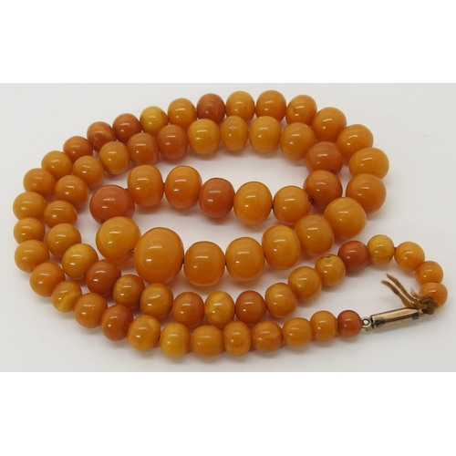 645 - A string of amber coloured beads