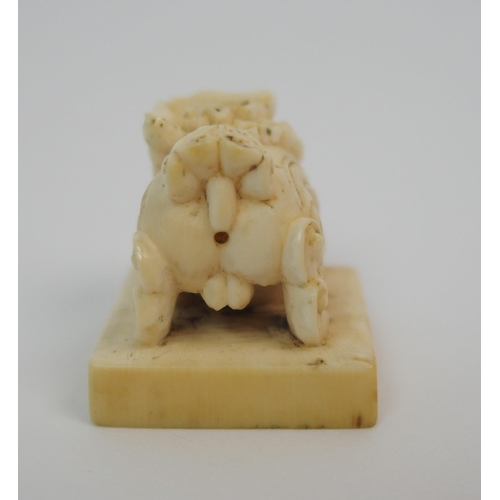 72 - A Chinese ivory shishi seal