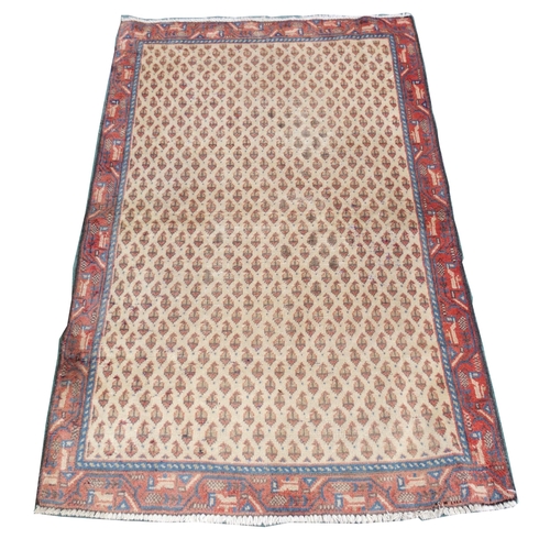 881 - A cream ground Araak rug