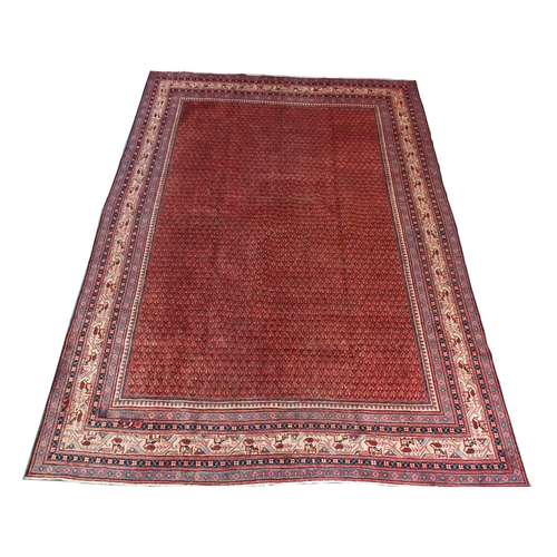 887 - A red ground Araak rug