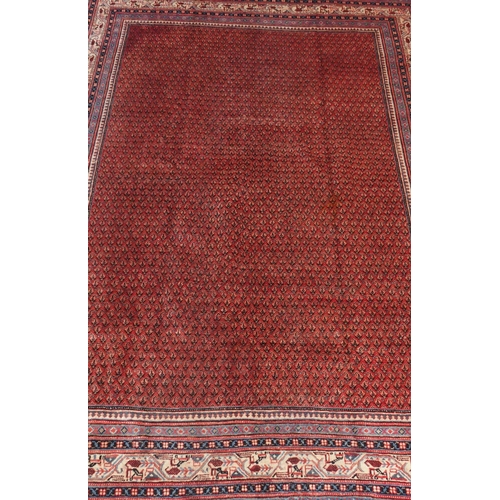 887 - A red ground Araak rug