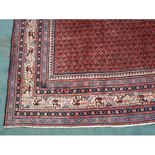 887 - A red ground Araak rug