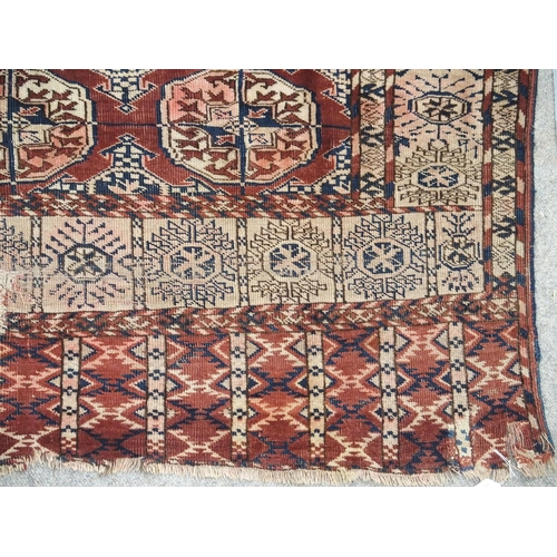 891 - A red ground Bokhara rug