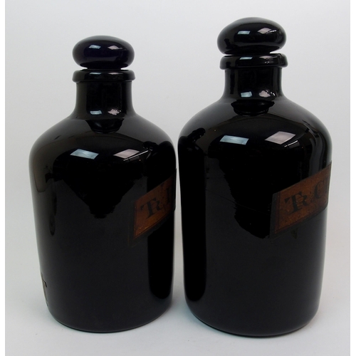 271 - Two early 19th century large purple glass pharmacy bottles