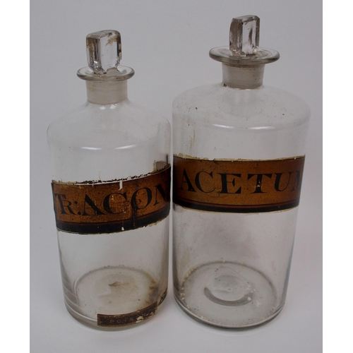 271 - Two early 19th century large purple glass pharmacy bottles