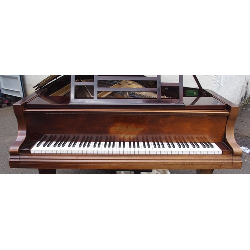 816 - A Bluthner Aliquot piano