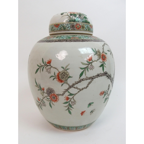 25 - A Chinese famille verte ginger jar and domed cover
