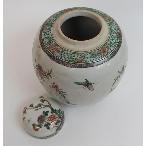 25 - A Chinese famille verte ginger jar and domed cover