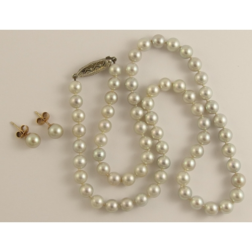 696 - A string of grey cultured pearls with matching earrings