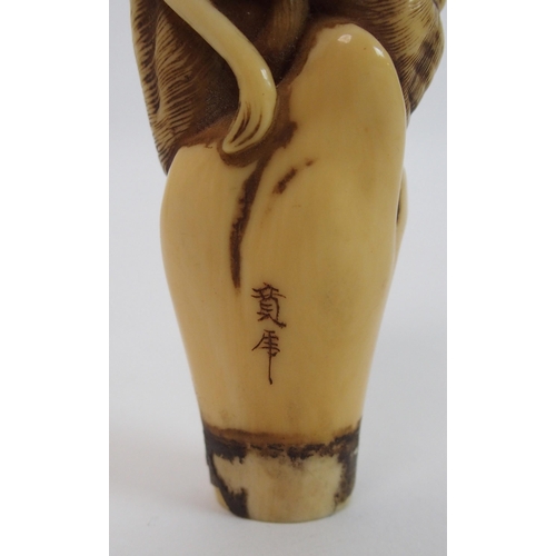 28 - A Japanese carved ivory cane handle