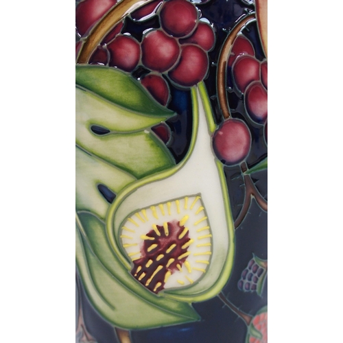 531 - A Moorcroft Queens Choice pattern vase