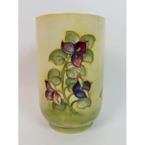 539 - A Walter Moorcroft Bougainvillea pattern vase