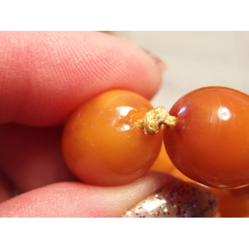 748 - Two amber coloured bead necklaces and a pair of earrings