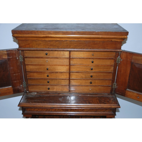 812 - A Victorian rosewood collector's cabinet