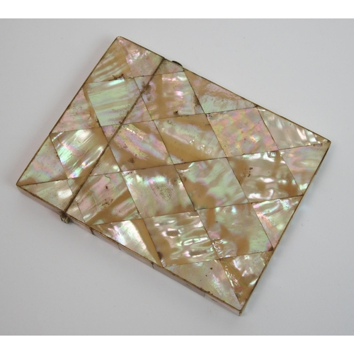 291 - A Victorian mother of pearl card case