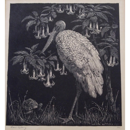 1001 - LIONEL LINDSAY (Australian 1874 - 1961)