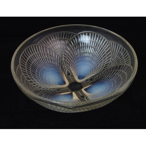 1079 - A Rene Lalique moulded opalescent glass Coquilles coupe