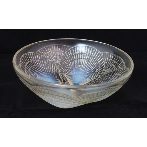 1079 - A Rene Lalique moulded opalescent glass Coquilles coupe