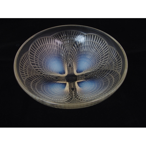 1079 - A Rene Lalique moulded opalescent glass Coquilles coupe