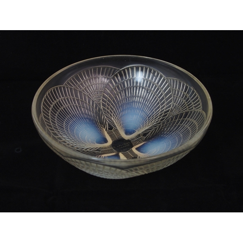 1079 - A Rene Lalique moulded opalescent glass Coquilles coupe