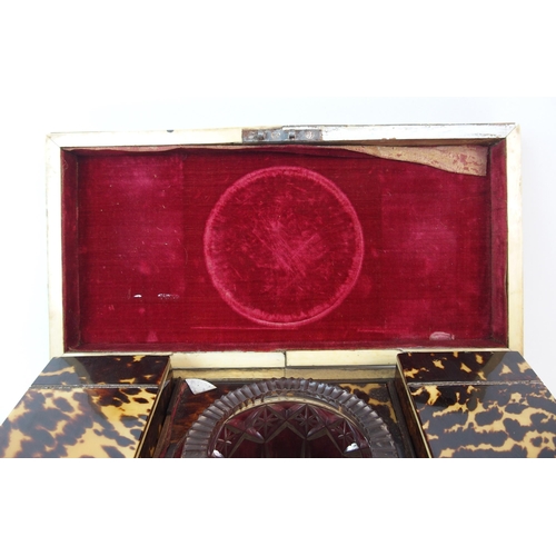 1104 - An English Regency tortoiseshell tea caddy