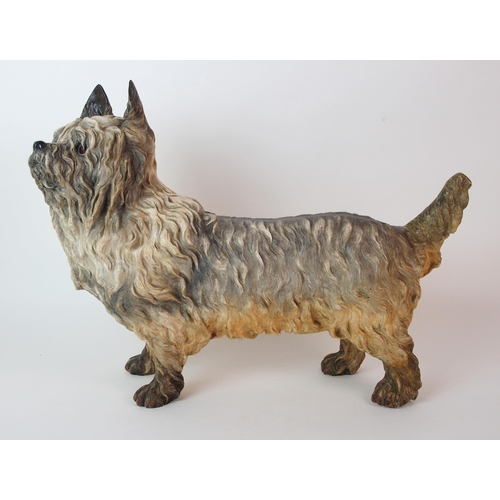 1118 - A Royal Worcester figure of a Scottish Terrier