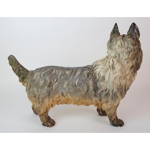 1118 - A Royal Worcester figure of a Scottish Terrier