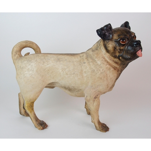 1119 - A Royal Worcester figure of a Pug