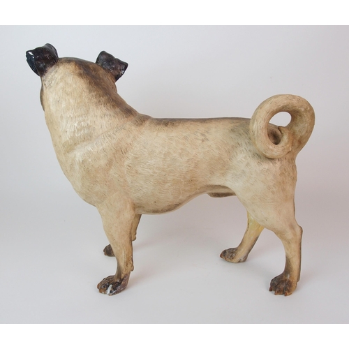 1119 - A Royal Worcester figure of a Pug