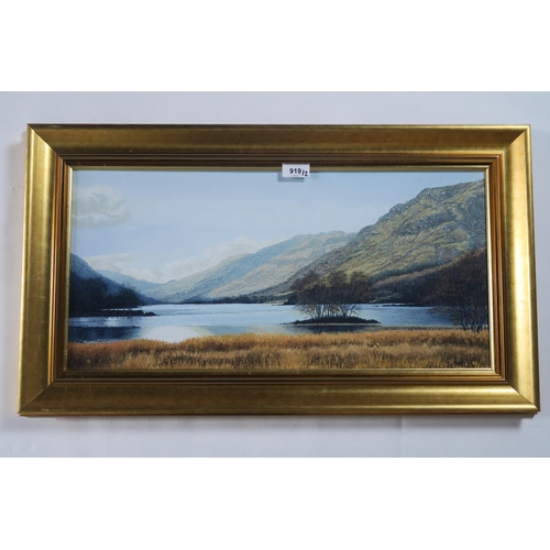 919 - IAN MCNAB (SCOTTISH b.1944)LOCH SCENE Oil on board, signed lower right, dated (19)98, 27 x 58cm... 