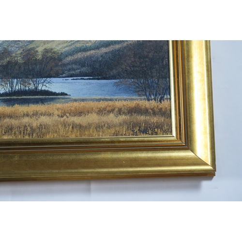 919 - IAN MCNAB (SCOTTISH b.1944)LOCH SCENE Oil on board, signed lower right, dated (19)98, 27 x 58cm... 