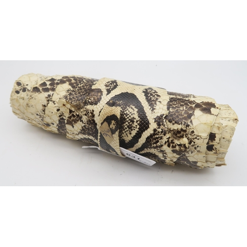 608 - A python snake skin