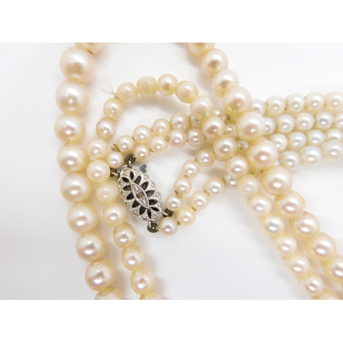 621 - A double string of pearls with a 9ct white gold diamond set clasp, length of shortest length 42cm, t... 