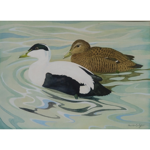 845 - RALSTON GUDGEON RSW Ducks, signed, watercolour, 45 x 63cm