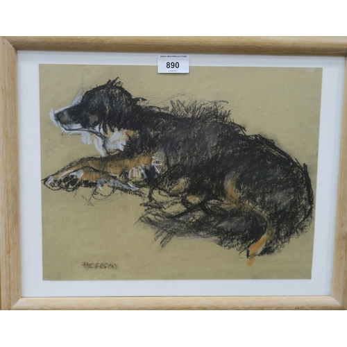 890 - ANNE ANDERSON (SCOTTISH b.TRINIDAD) PET COLLIE Pastel, signed lower left, 26 x 34cm... 