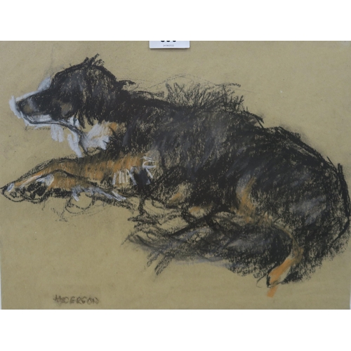 890 - ANNE ANDERSON (SCOTTISH b.TRINIDAD) PET COLLIE Pastel, signed lower left, 26 x 34cm... 